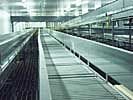 Used Bushman Accumulation Conveyor
