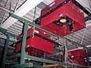 Sortation Conveyor - bottom
