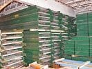 Lineshaft Accumulation Conveyor