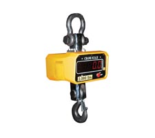 Crane Scale