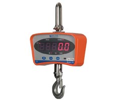 Digital Hanging Scale