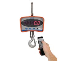 Digital Hanging Scale with Remote