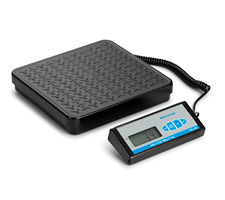 Treadplate Platform Bench Scale