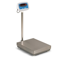 Model S100 Industrial Bench Scale