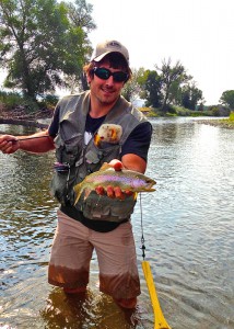 16" Rainbow Trout